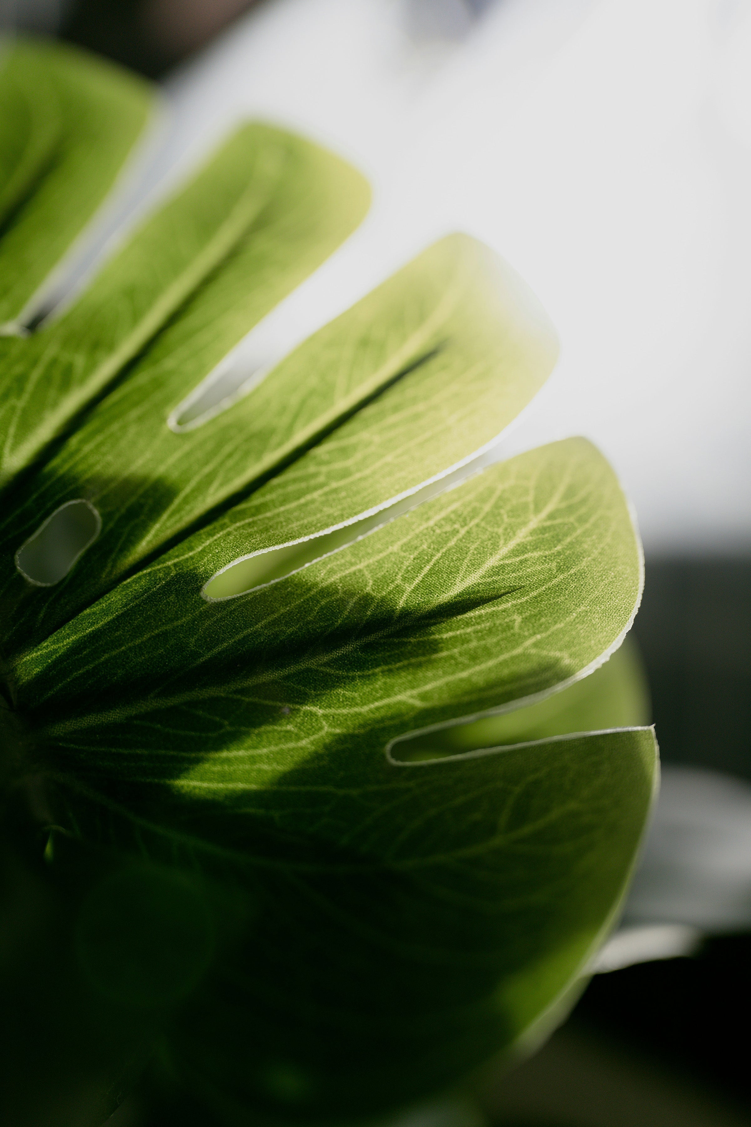 Le Greenwashing