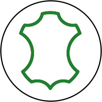 Icône