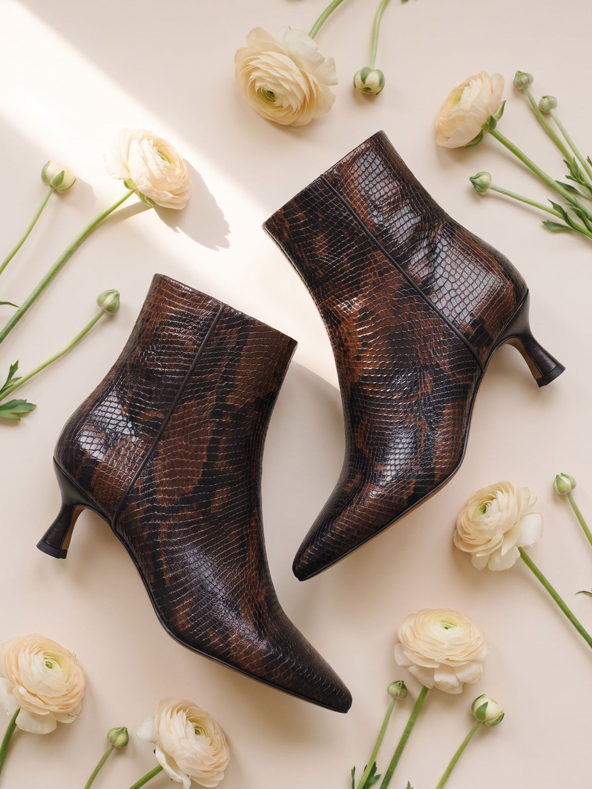 vue posee bottines pointues petit talon isaure cuir marron python jules jenn